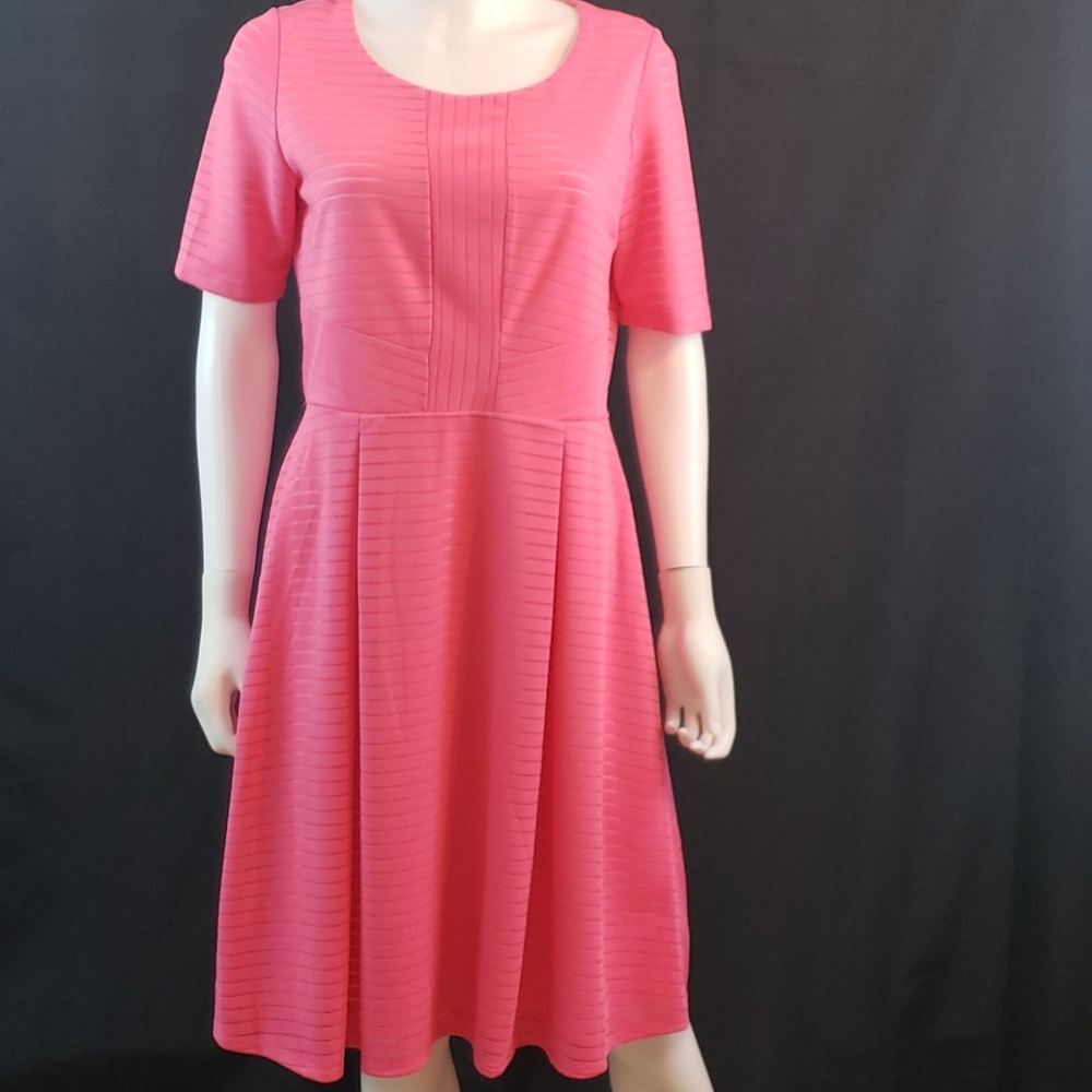 NWT  Medium pink NY collection dress